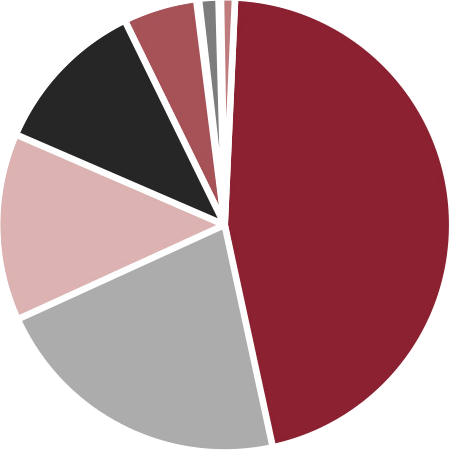 Engine Production by Segment Pie Chart