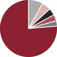 Engine Production by Model Pie Chart