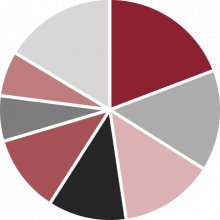 Engine Share by Engine Manufacturer Pie Chart