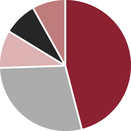 Industry Share by OEM Brand Pie Chart