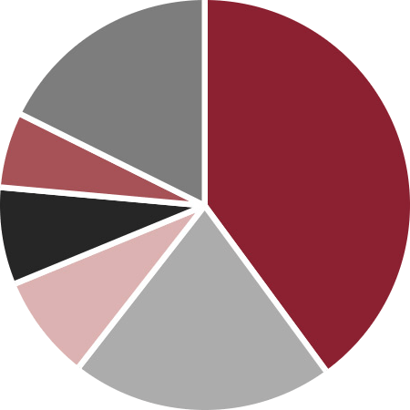 Industry Share by OEM Model Pie Chart