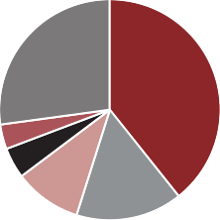 European Motoryacht Share by Engine Supplier Pie Chart