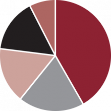 Industry Share by OEM Brand Pie Chart