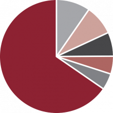 Industry Share by OEM Model Pie Chart